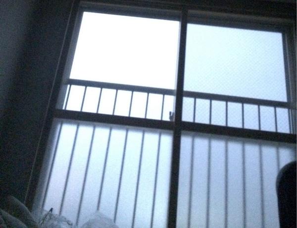 札幌雷 Twitter Search