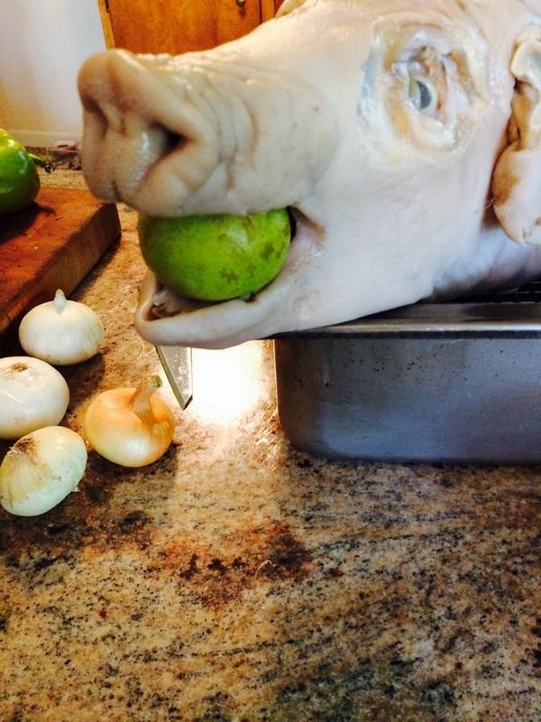 calvabk's tweet photo. Sometimes life is hard http://t.co/pfMB6DN0ih