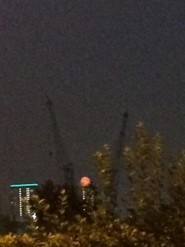 EmmaRidgersx's tweet photo. Can we all please take a minute to appreciate how amazing the moon looks 😍🌚 #GayTweet #AmazingThough http://t.co/qZnNCeHX2G