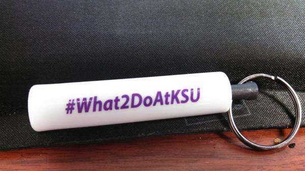 SarahJBeebe's tweet photo. Representing OSAS at K-State Celebrates today with our new office swag! @KStateAdmission #YourKStateStoryStartsNow http://t.co/6TDwVc7LFe