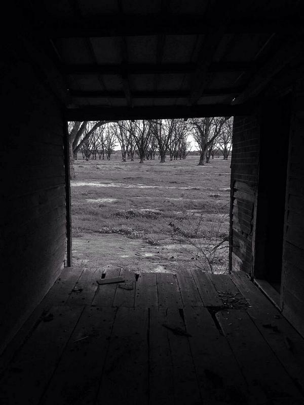 Modern Now™ tweet media