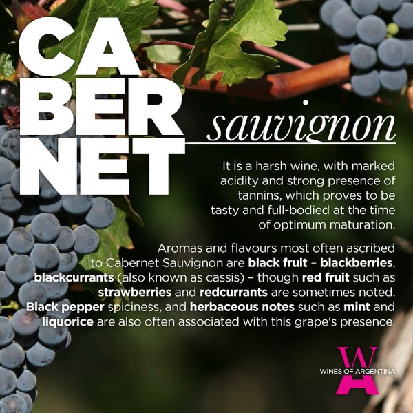 winesofarg's tweet photo. Which is your favorite Argentine #CabSauv? Happy #WineWednesday everybody! Read more: http://t.co/OaKiItj1Vl http://t.co/hPzDusOHhs