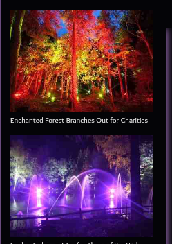 Furyofsteel's tweet image. Looks awsome peeps #EnchantedForrest