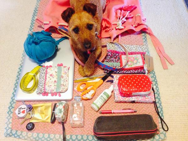 It's a new season and Coco needs a new collar and a Tote ;)! #CathKidston #TotesBig <a href="/Cath_Kidston/">Cath Kidston</a>