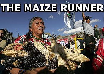 theplayerstouch's tweet photo. @WhatTheFMemes run with it! http://t.co/8bQxC8nmBp