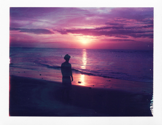 PolaroidWeek tweet picture