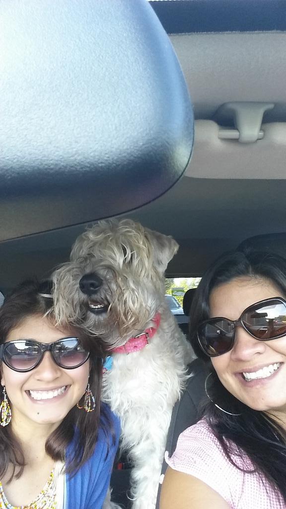 S.O.S. Ltda. tweet media