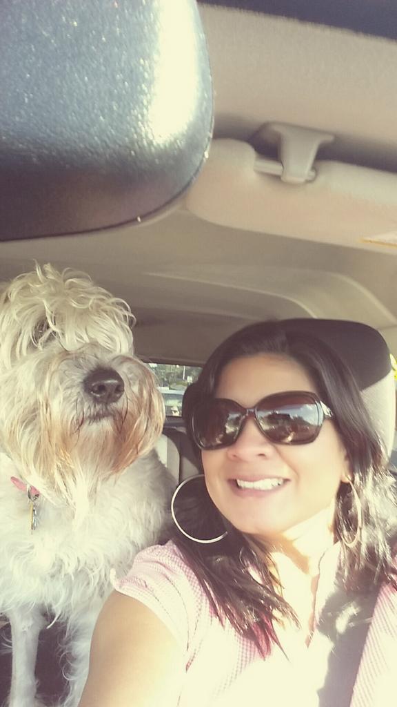 S.O.S. Ltda. tweet media