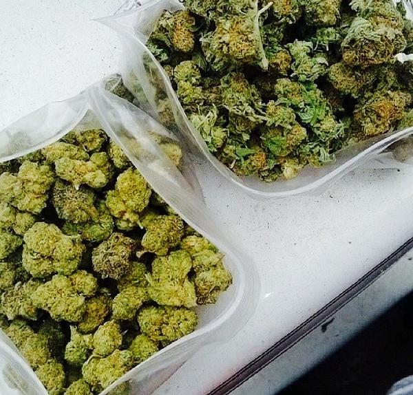 weednsnacks's tweet image. RT for the bag of weed on the Left

FAV for the bag on the Right