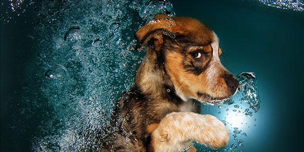 people's tweet image. Had a rough day? We've got something to lift your spirits peoplem.ag/BmgOs