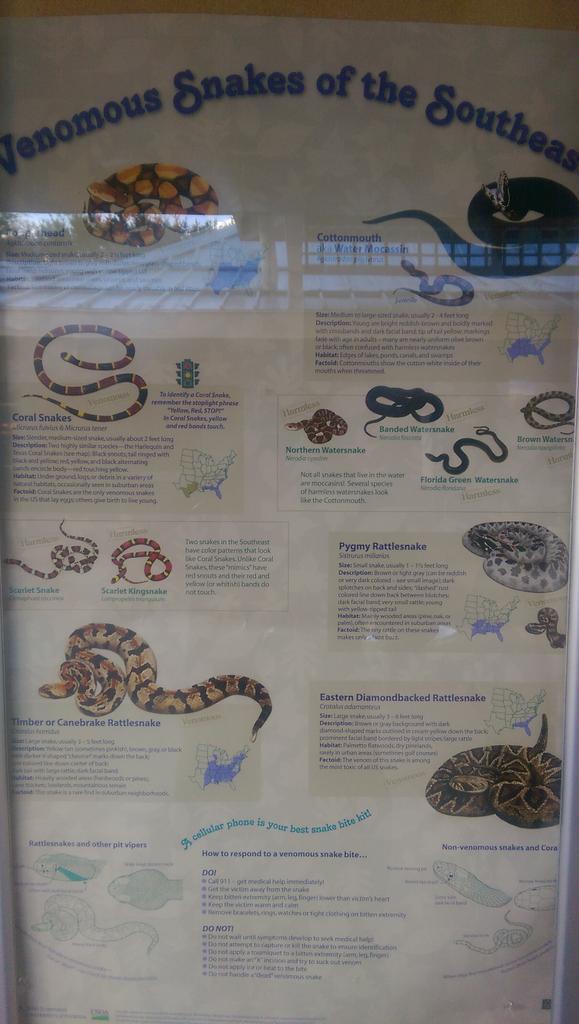 geturswurve1's tweet image. #differentproblems