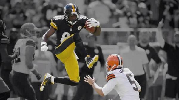 Adam Patano tweet media