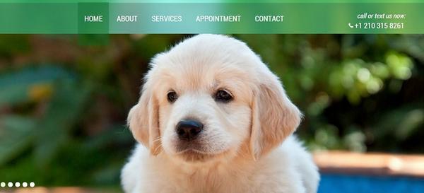 tuwebweb's tweet image. Buenas Noches, los invitamos a que conozcan nuestro nuevo desarrollo web. cooldogspa.com #dogspa #cooldogspa