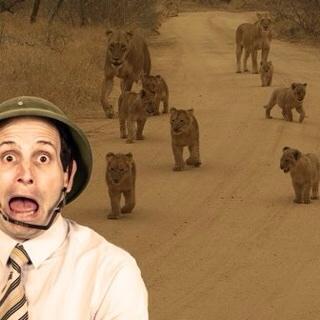 Fin_Begin's tweet image. Living amongst the tigers

#actionfilmresearch
#dangerouswork
#mfringe