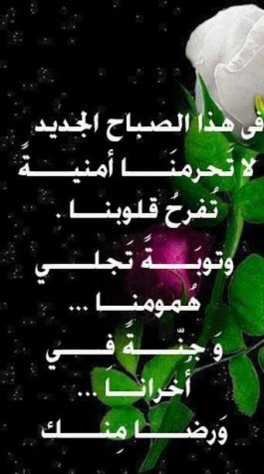 مها ص المطيري (@msam2581) on Twitter photo 