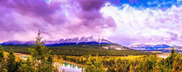 zhao_tyler's tweet photo. #wildlookoutside Tyler Zhao Cranbrook http://t.co/AGdFCY2IV0