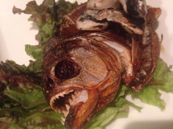 Yokohama Restaurant Serves Fried Axolotl Along With Giant Isopod Camel And Crocodile Soranews24 Japan News