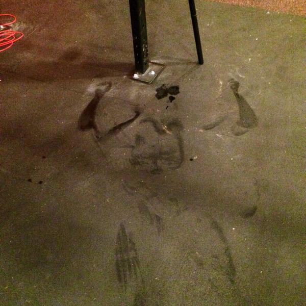 GooseIslandCF's tweet image. #bearcomplex #birthdaywod sweatman!  There's no better way to say Happy Birthday to @NoahLaPorte