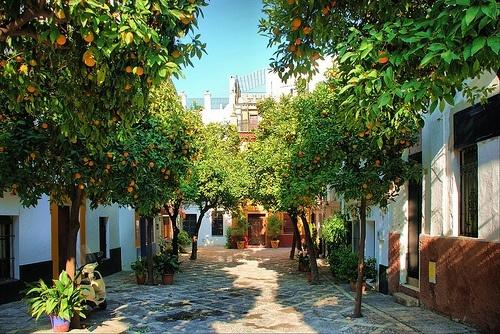 SecretSpain1 tweet picture