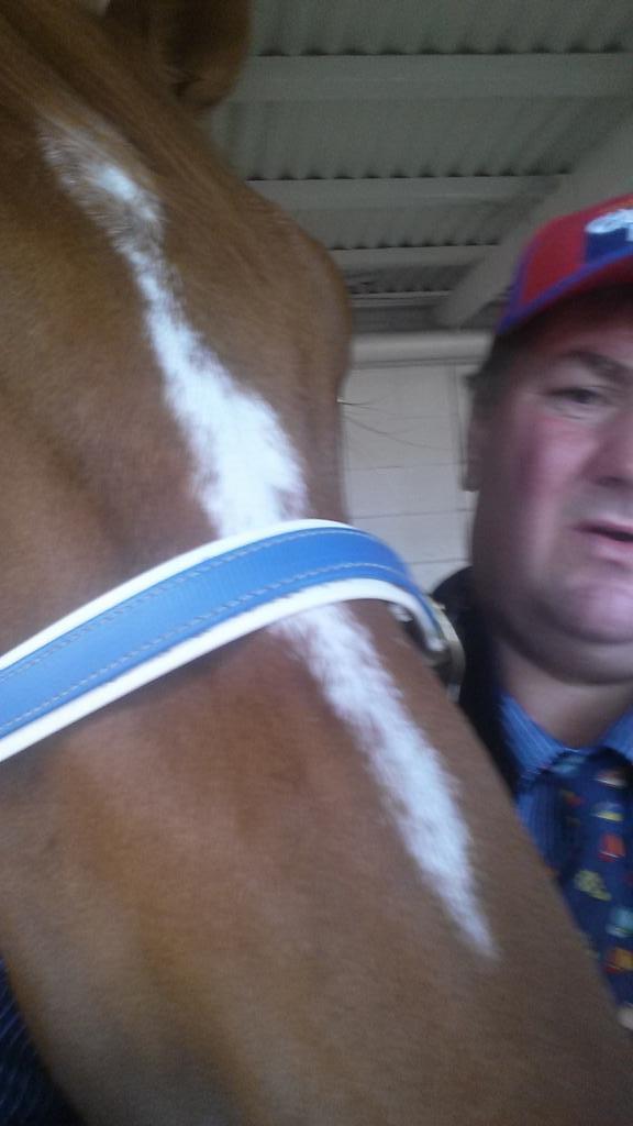 StephenForster5 tweet picture