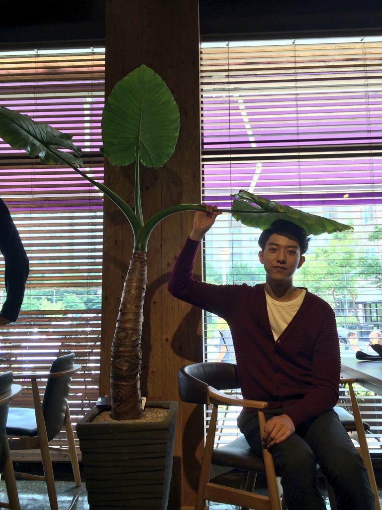 埋め込み画像への固定リンク