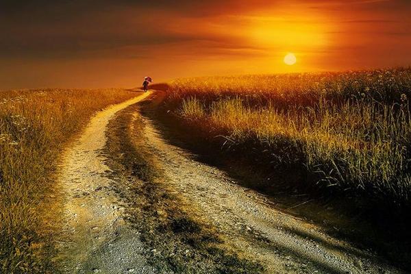 Gabriele_Corno's tweet image. Sunset Boulevard.......... by Christine Ellger