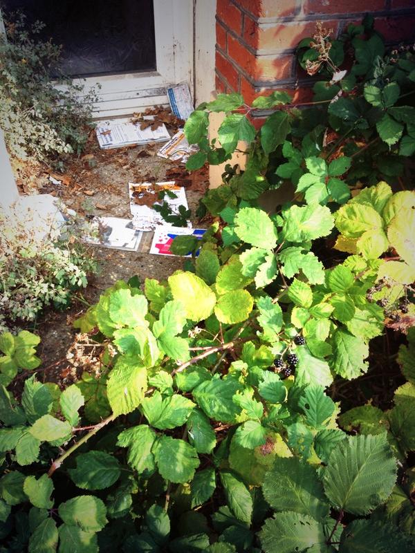 mimsdavies's tweet photo. Out in #Eastleigh- some houses clearly not used-here leaflets from May outside.Use these 1st!Not build on green belt http://t.co/xA7i8oB8Ow
