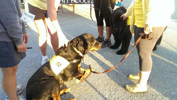 Where and When tweet media