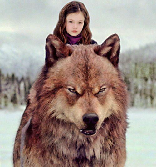   Renesmee & Jacob black 
Happy birthday renesmee Cullen 