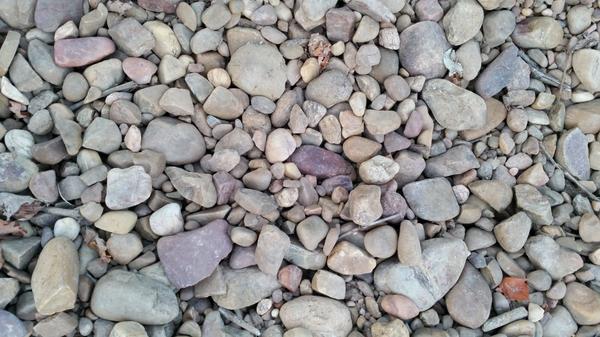 DOArlanza's tweet photo. "@SoloRioja: Wine RT: "Cascajuelo: ¡Mirad qué bonito está el viñedo! #Arlanza #enoturismo #vendimia http://t.co/frn3M2nHYy""
