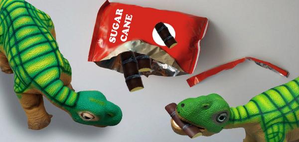 PLEOrb's tweet image. Sugar cane is PLEO rb’s favourite snack. You can get a free one with this package pleoworld.com/pleo_rb/eng/pr….