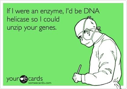 DJ_015's tweet photo. To everyone writing Bio tomorrow! 😆😭
@AnandiTheunisse @DylanDeMorney @Lindsey5loo @Marco69de  @MarcelFace http://t.co/OP3WrxpK7P