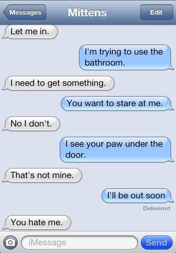 loloqadi's tweet photo. Me texting my cat http://t.co/cLDP8VHpz8