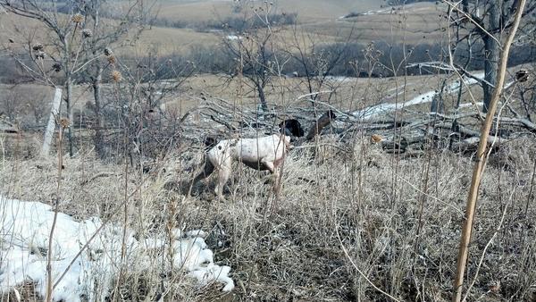 Brian Rote (@BrianRote) | Twitter