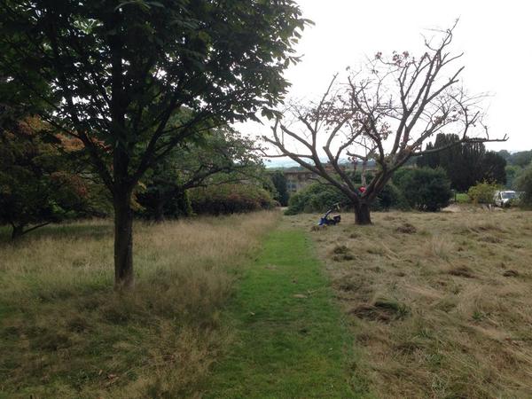 Nicola (@falconhurstkent) on Twitter photo Busy few days trying out a <a href="/Tracmasteruk/">Tracmaster</a> Power Scythe for our meadows. Great bit of kit recommended by <a href="/GreatDixter/">Great Dixter</a> Busy few days trying out a <a href="/Tracmasteruk/">Tracmaster</a> Power Scythe for our meadows. Great bit of kit recommended by <a href="/GreatDixter/">Great Dixter</a>