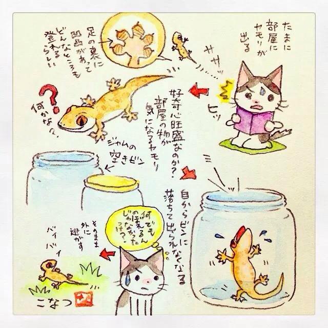 らくがき絵日記:部屋に出没したヤモリがアホの子だった 
