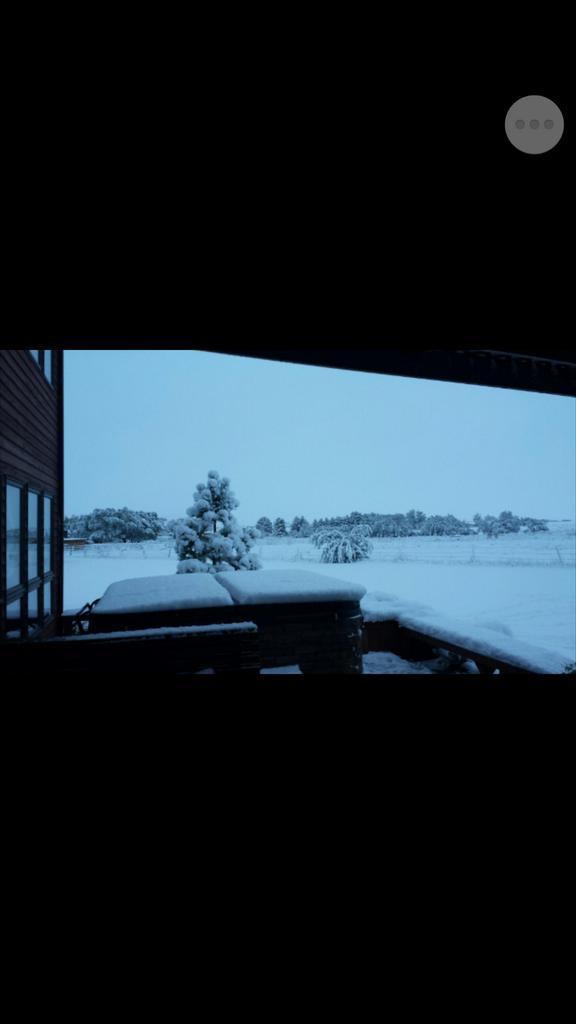 My back porch at home right now....glad I'm in oklahoma