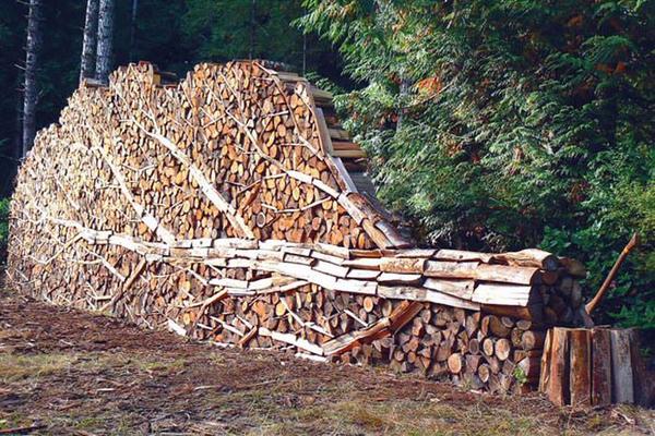 Log-pile functional art...