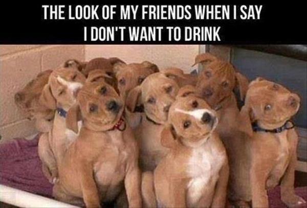 MensHumor's tweet photo. The look my friends give me when I tell them I don't want to drink tonight... http://t.co/0z0z6R3ncv