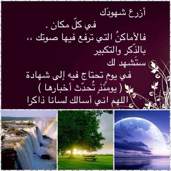 s_alha12 tweet picture