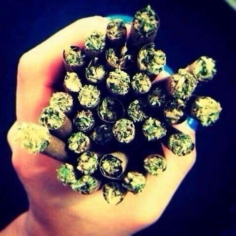 DrugsOverBitch tweet picture