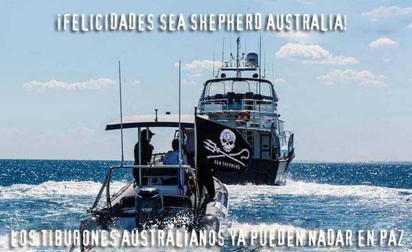 SeaShepherd_CO's tweet photo. ¡VICTORIA PARA LOS TIBURONES DE AUSTRALIA! Fin al programa de matanza selectiva de tiburones. http://t.co/RpTLU2u7Ix http://t.co/1pFF3cgQ0O