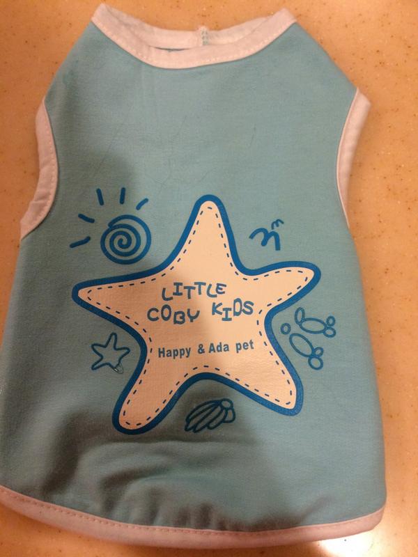 Toffe The Cat tweet media