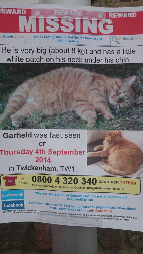 DbClements96's tweet image. #helpfindgarfield
