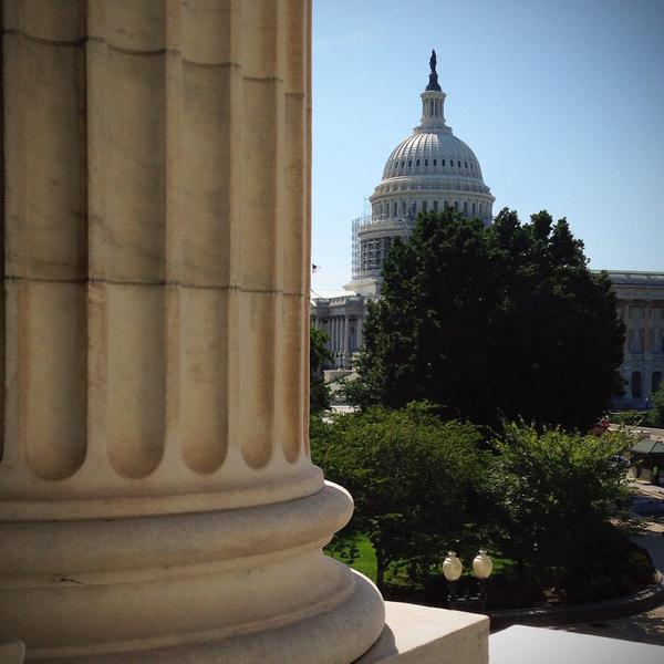 altvis's tweet photo. The scaffolding is going up around the dome. http://t.co/JoNzfhRqyu