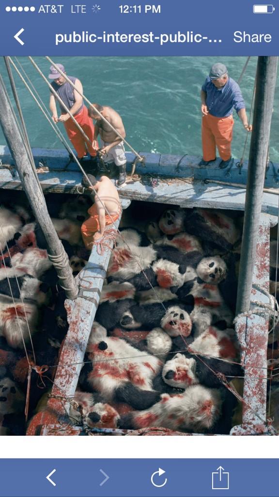 biologistimo's tweet photo. If tuna were pandas, would you care more? #wildlife #tunaconservation #conservation http://t.co/a6fNt5Wv1s