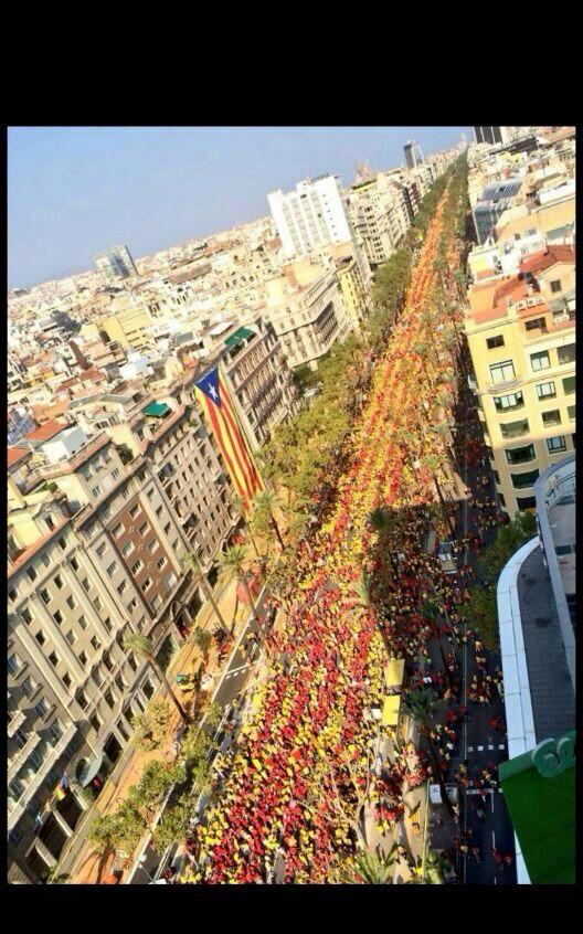 ANC_Reus's tweet photo. Ho tenim clar! #CatalansVote9N #juntspel9N #ReusViulaV http://t.co/wynl3vS2nu