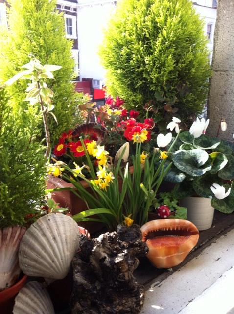 Happy birthday flowers for Liz Sladen xxxx 