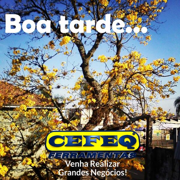 Cefeq's tweet photo. A Cefeq deseja a você uma boa tarde. Venha realizar grandes negócios. http://t.co/KysmPYjWqN - 0800-6900 http://t.co/woeR9XqbWY