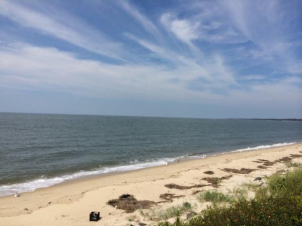 judycocherell's tweet photo. Just got back from looking at property on the Eastern Shore. Gorgeous! http://t.co/RwbVzKlNVU